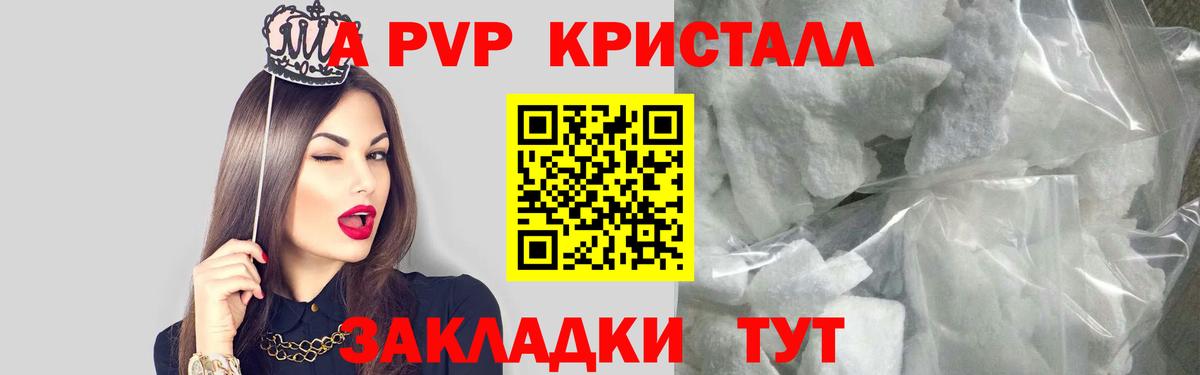 A-PVP СК КРИС Тула