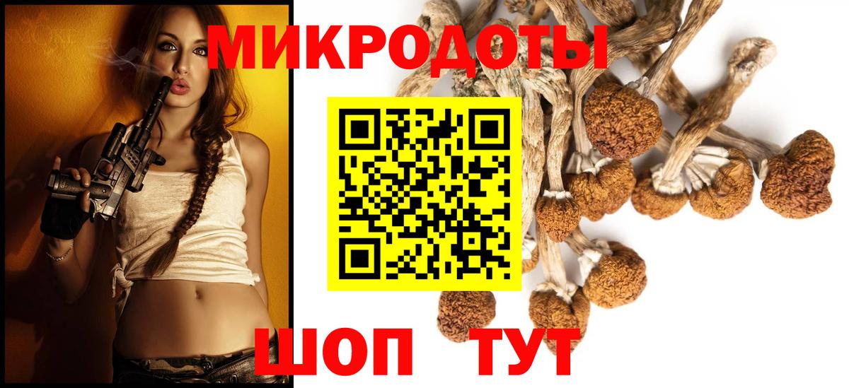 Псилоцибиновые грибы мухоморы  Вход с VPN  купить наркоту  Тула 